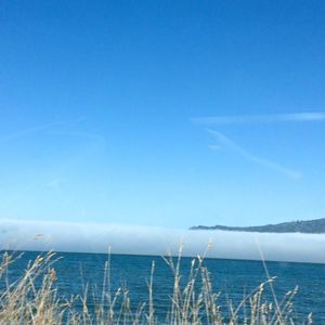 Meet your Posher, Krystal